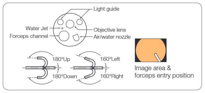 Купить видеоколоноскоп Fujifilm EC-600 ZW/M - цена по запросу