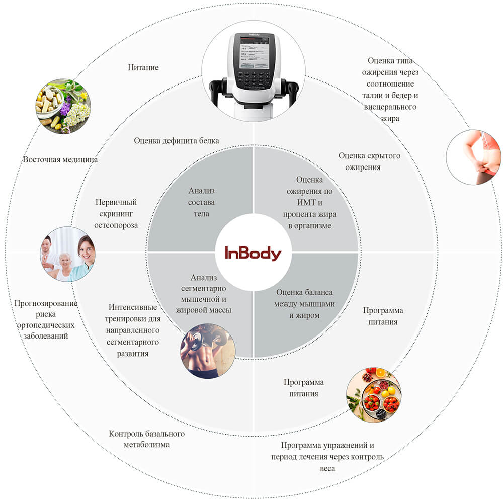 Портативный анализатор состава тела InBody 270 - Купить со скидкой