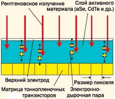Устройство цифрового детектора с прямым преобразованием сигнала