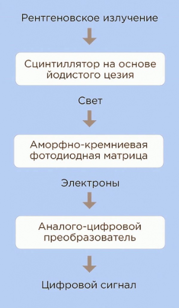 Схема преобразования рентгеновского излучения в детекторах на основе TFT-технологии
