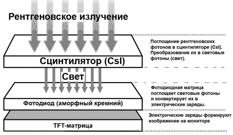 Пластина покрытая люминофором для преобразования рентгеновского изображения из невидимого