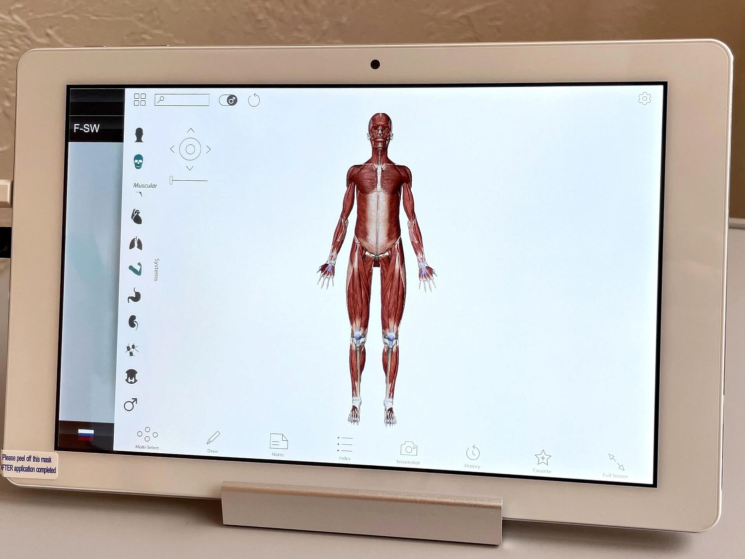 Аппарат ударно-волновой терапии DUOLITH SD1 T-TOP «F-SW Ultra»