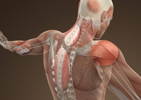 Аппарат ударно-волновой терапии MASTERPULS MP200 ULTRA