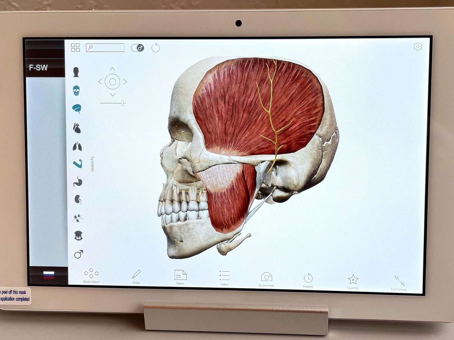 Аппарат ударно-волновой терапии DUOLITH SD1 T-TOP «F-SW Ultra»