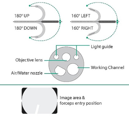 Видеоколоноскоп двухбаллонный Fujifilm EN-580XP