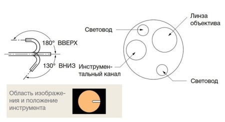 Видеобронхоскоп Fujifilm EB-530P