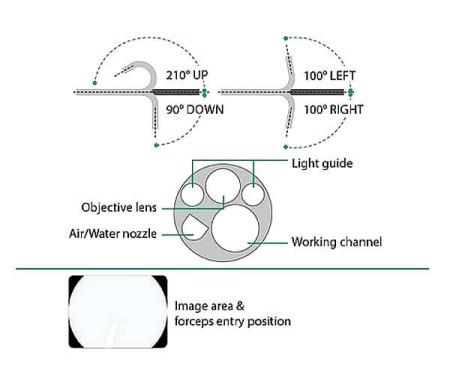 Сверхтонкий видеогастроскоп Fujifilm EG-580NW2