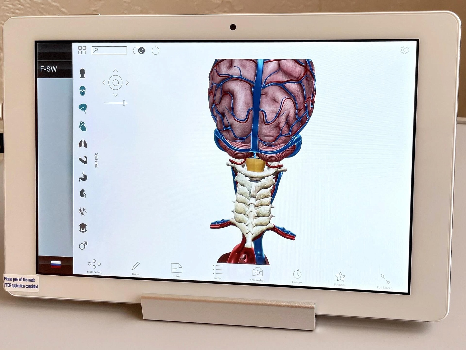 Аппарат ударно-волновой терапии DUOLITH SD1 T-TOP «F-SW Ultra»
